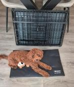 Opvouwbare hondenbench | 55 cm (B) x 76 cm (L) x 58 (H), Dieren en Toebehoren, Ophalen, Minder dan 65 cm, Hondenhok, Zo goed als nieuw