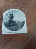 Knipsel houtzaagmolen Laagstraat Tilburg 1930, Ophalen of Verzenden, 1920 tot 1940, Knipsel(s)