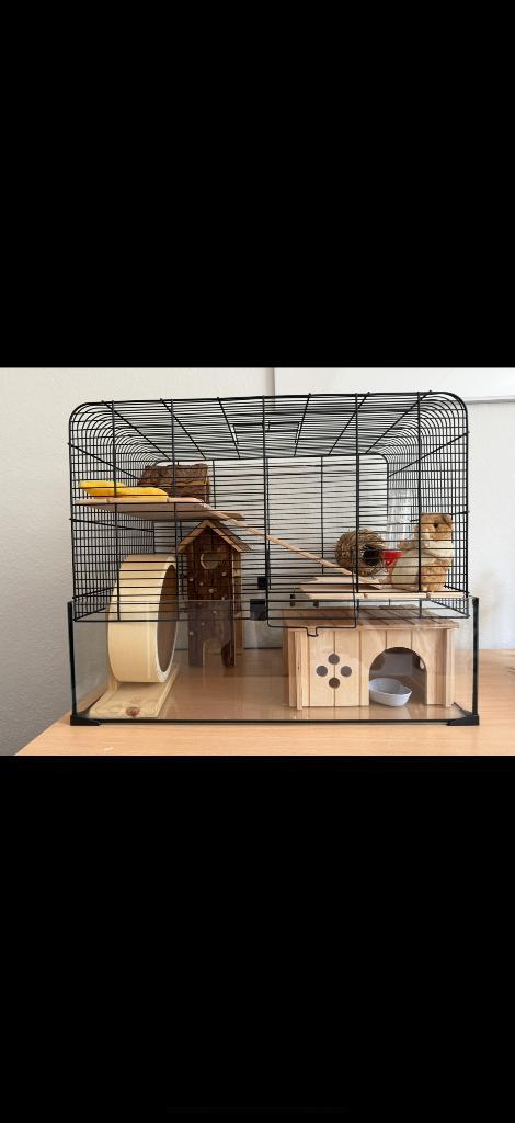 Hamsterkooi, Dieren en Toebehoren, Knaagdieren en Konijnen | Hokken en Kooien, Zo goed als nieuw, Kooi, Minder dan 60 cm, Minder dan 75 cm