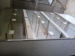 Broed kooien, Dieren en Toebehoren, Ophalen, Zo goed als nieuw, Kunststof, Broedkooi of Kweekkooi