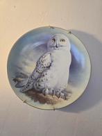 Sneeuwuil Decoratief Bordje - Raymond Watson, Ophalen of Verzenden