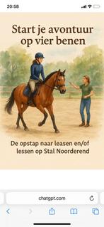 Lease paard bijrijder verzorgpaard paardrijden rijlessen, Minder dan 160 cm, B, Meerdere dieren, Recreatiepaard