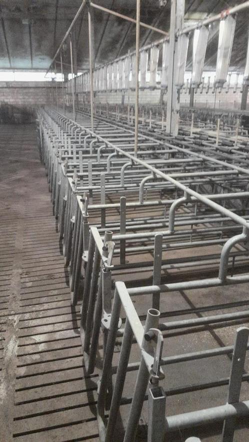 Van der Lee boxen [378], Dieren en Toebehoren, Stalling en Weidegang
