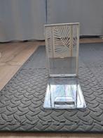 SONGMICS 10 schoenenopbergdozen, Ophalen, Doos, Minder dan 35 cm, Minder dan 50 cm