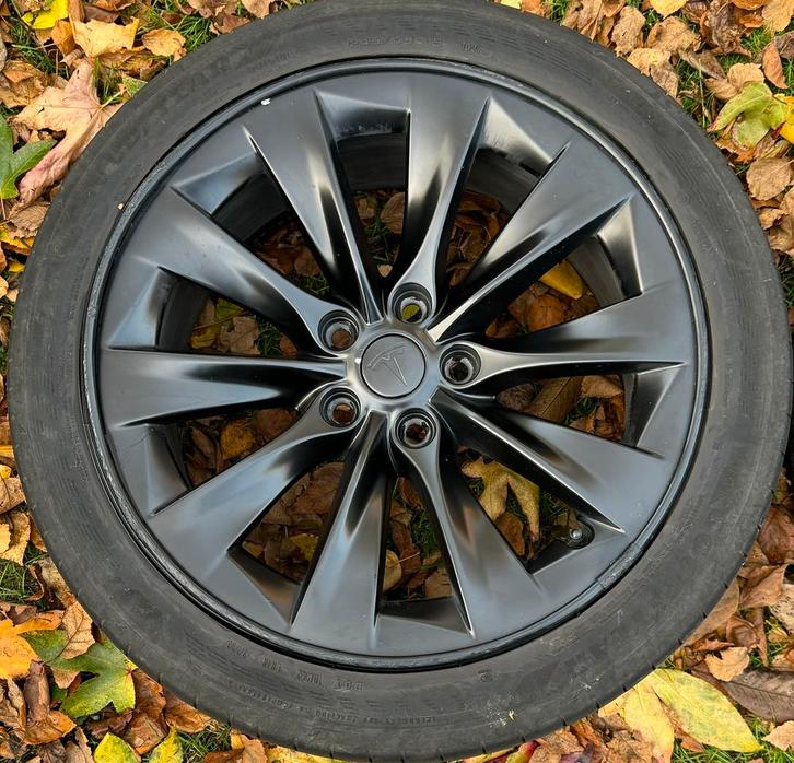 Mooie 19 inch originele Tesla model S velgen, Auto diversen, Auto-accessoires, Ophalen of Verzenden