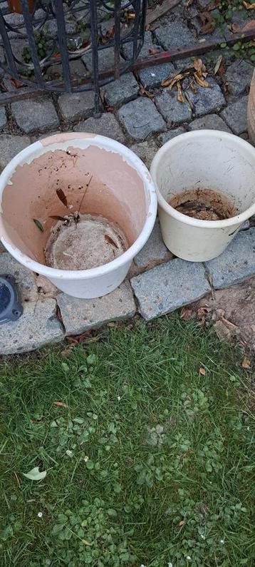 2 Gebruikte bloempotten beschikbaar voor biedingen