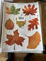 | Nieuw | Raamstickers - Herfst |, Ophalen of Verzenden, Nieuw