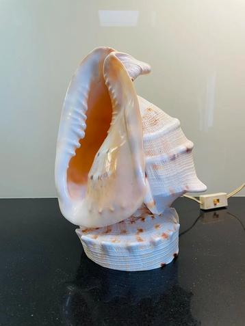 Grote vintage SCHELP Lamp 1960’s beschikbaar voor biedingen