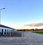 Stalling en weidegang Chaam, Noord-Brabant, Dieren en Toebehoren, Stalling en Weidegang, Weidegang