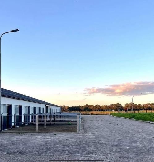 Stalling en weidegang Chaam, Noord-Brabant, Dieren en Toebehoren, Stalling en Weidegang, Stalling, Weidegang