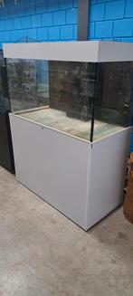 Mooi zeeaquarium 500L, Ophalen, Zo goed als nieuw, Gevuld zeewateraquarium