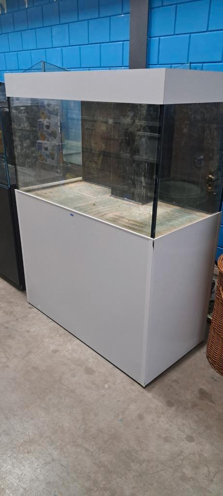 Mooi zeeaquarium 500L, Dieren en Toebehoren, Vissen | Aquaria en Toebehoren, Zo goed als nieuw, Gevuld zeewateraquarium, Ophalen