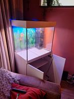 Aguarium, Ophalen, Leeg aquarium