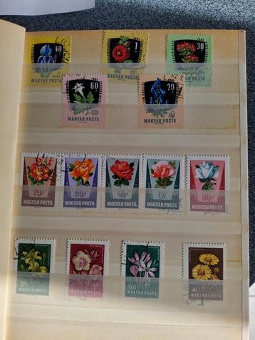Postzegels Bloemen  beschikbaar voor biedingen