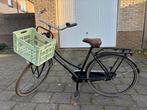 Dutch Flavor Damesfiets - Goede staat!, Ophalen, Batavus, Zo goed als nieuw, 53 tot 56 cm