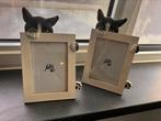 Felix de kat unieke fotolijsten bijna gratis, Ophalen, Zo goed als nieuw