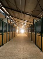 Paardenbox Voorwand Model E | Luxe | Diverse Maten | Nieuw, Dieren en Toebehoren, Weidegang, 4 paarden of pony's of meer