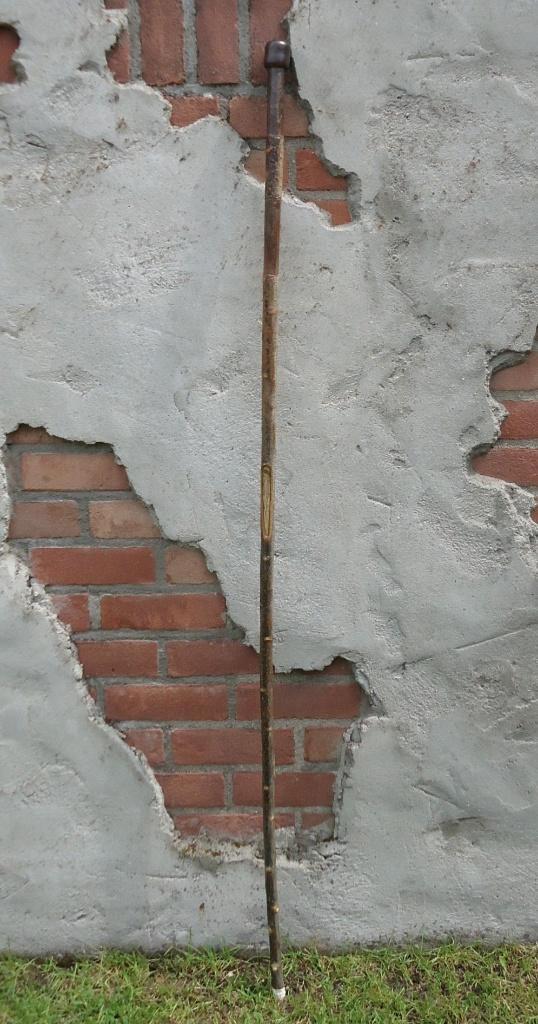 Extra lange WANDELSTOK - huisvlijt - Camino bergstok ( 4 ), Sport en Fitness, Overige Sport en Fitness, Nieuw, Ophalen of Verzenden