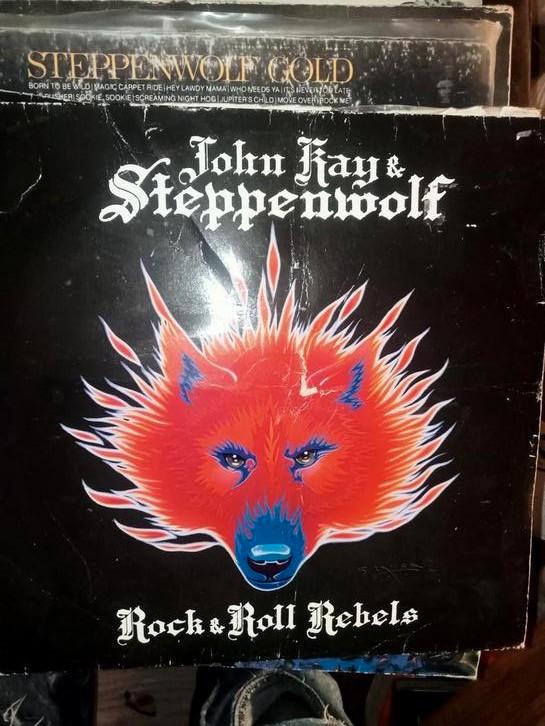 John Kay & Steppenwolf - Rock & Roll Rebels Vinyl, Cd's en Dvd's, Vinyl | Rock, Gebruikt, Rock-'n-Roll, Ophalen of Verzenden
