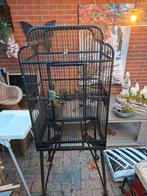 Nette papegaaienkooi., Ophalen, Zo goed als nieuw, Metaal, Vogelkooi