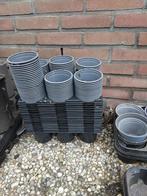 honderden kweekpotjes draagtrays, Ophalen