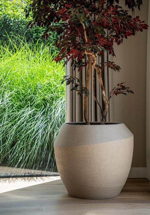 POTTENSHOP Bloempot groot Hoge pot zand pot plantenbak, Huis en Inrichting, Kamerplanten, Overige soorten, Minder dan 100 cm, Bloeiende kamerplant