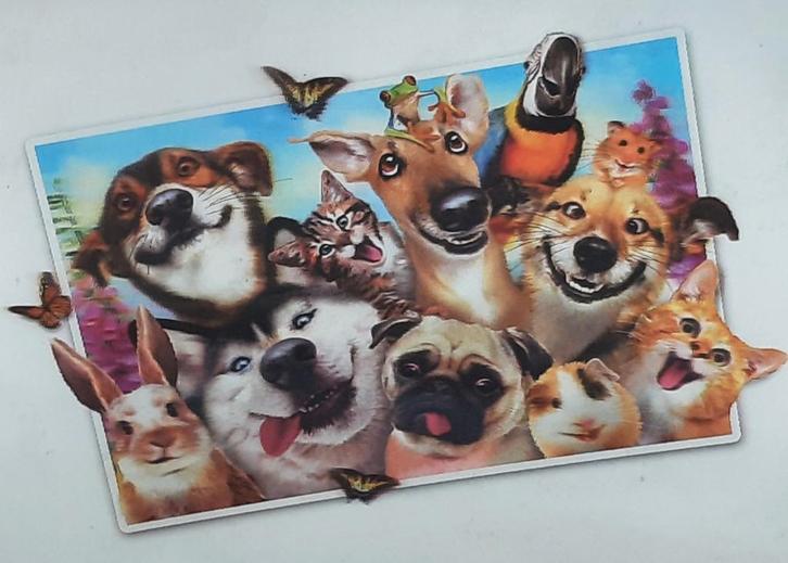 GEZOCHT  Honden spullen & speelgoed, Dieren en Toebehoren, Hondenspeelgoed, Zo goed als nieuw, Intelligentiespeelgoed, Ophalen of Verzenden