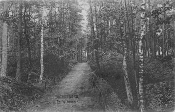 (388-354-031) Driebergen-Rijsenburg In t Bosch beschikbaar voor biedingen