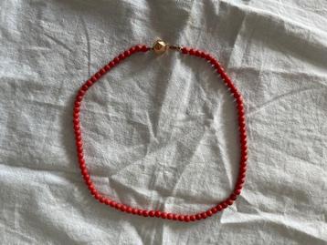 BLOEDKORAAL KETTING met gouden slot - WD014 beschikbaar voor biedingen