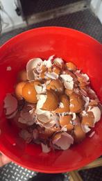 Gratis eierschalen emmers vol, Diversen, Levensmiddelen, Ophalen of Verzenden