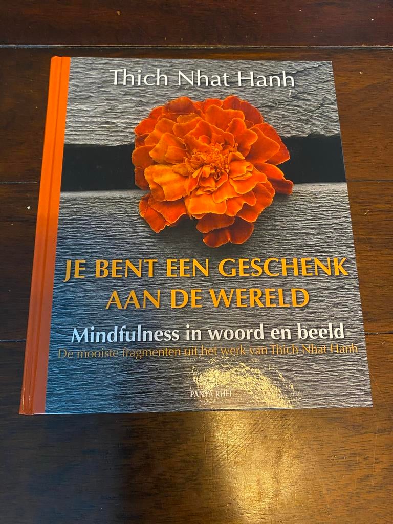 Je bent een geschenk aan de wereld - Thich Nhat Hanh, Boeken, Ophalen of Verzenden, Zo goed als nieuw, Spiritualiteit algemeen