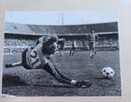 Persfoto Feyenoord-HFC Haarlem. Ruud Gullit, Ophalen of Verzenden, Zo goed als nieuw, Feyenoord, Poster, Plaatje of Sticker