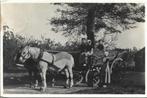 Middelburg-Veere-Walchersche Boeren wagen-Klederdracht-V&D, Ophalen of Verzenden, 1940 tot 1960, Gelopen, Zeeland
