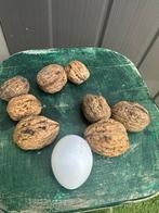 Walnoten van 2025, Diversen, Ophalen