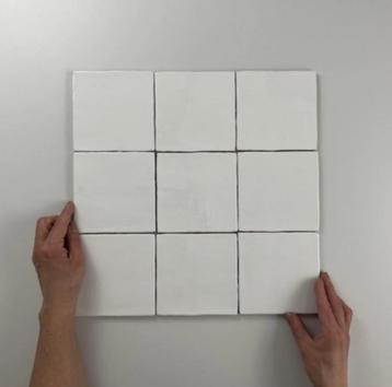 Oud Hollandse Witjes 13x13 beschikbaar voor biedingen