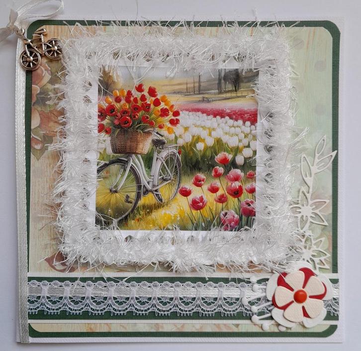 Hollandse kaart met fiets, Hobby en Vrije tijd, Kaarten | Zelfgemaakt, Zo goed als nieuw, Overige thema's, Ophalen of Verzenden