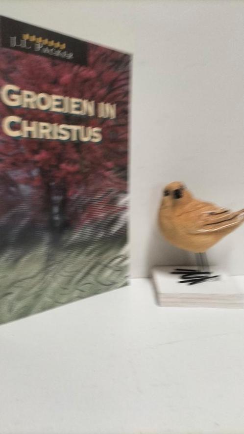 Packer, J.I, Groeien in Christus, Boeken, Godsdienst en Theologie, Gelezen, Christendom | Protestants, Ophalen of Verzenden
