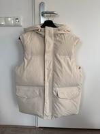 Zara Bodywarmer Nieuw - Maat S, Kleding | Dames, Ophalen of Verzenden, Nieuw, Maat 36 (S), Beige