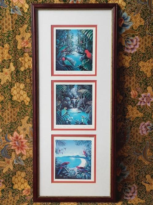 Drie mooie vintage ingelijste prenten met vogels 26-61 cm., Antiek en Kunst, Kunst | Litho's en Zeefdrukken, Ophalen of Verzenden