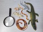 Set dieren met krokodil, slangen, dino, gekko en haai, Ophalen of Verzenden, Gebruikt