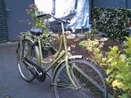 Omafiets Batavus Ol Dutch, Fietsen en Brommers, Fietsen | Dames | Omafietsen, 53 tot 56 cm, Ophalen, Gebruikt, Batavus.
