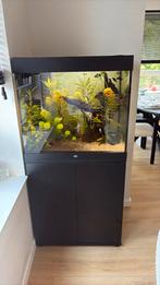 Juwel Lido 200 met spullen (op vak tot 24 aug), Dieren en Toebehoren, Vissen | Aquaria en Toebehoren, Ophalen, Zo goed als nieuw