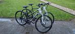 Nette set Cube nature hybride dames- en herenfiets, Gebruikt, 49 tot 53 cm, Meer dan 20 versnellingen, Ophalen