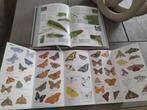 Vlinder & insectenboek nieuw postcodeloterij, Boeken, Vlinders & insecten, Ophalen of Verzenden, Zo goed als nieuw