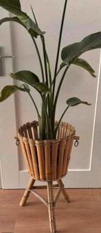 Vintage plantenbak plantenstandaard, Ophalen, Gebruikt, Minder dan 60 cm, Rond