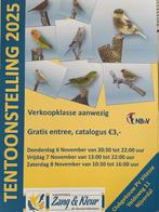 Vogel tentoonstelling in nijverdal, Dieren en Toebehoren, Parkiet