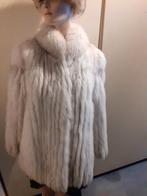 Echte SAGA FOX witte polarfix bontjas bont jas bontjasje 34, Ophalen of Verzenden, Zo goed als nieuw, Maat 34 (XS) of kleiner