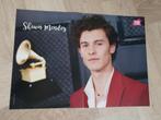 Poster van Shawn Mendes !!, Verzamelen, Posters, Ophalen of Verzenden, Zo goed als nieuw