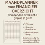 Maandplanner Financieel Overzicht – 12 maanden grip, Ophalen of Verzenden, Nieuw, Overige onderwerpen