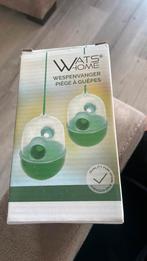 Wespenvanger, Dieren en Toebehoren, Bijen